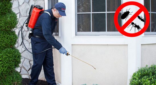 Doğanhisar Gümüşkurt İlaçlama böcek ilaçlama ve haşere kontrolü — ilaclama-tr.com